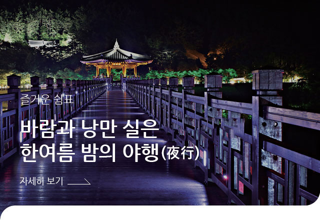 즐거운 쉼표 - 바람과 낭만 실은 한여름 밤의 한여름 밤의 야행